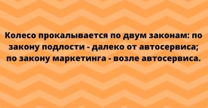 Забавные шутки для настроения