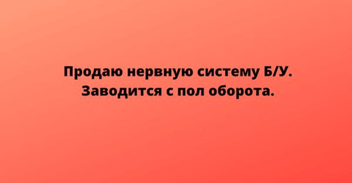 Начинаем день правильно: утренняя порция юмора для вас!