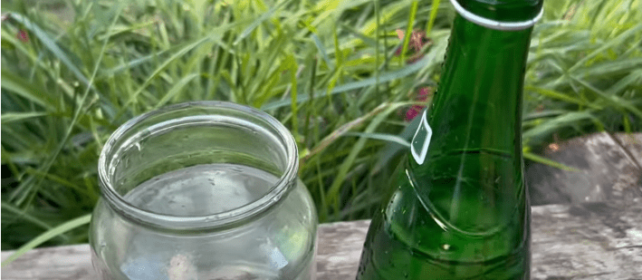 Целебная вода для ваших цветов, даже хилые оживают, зеленеют и пышно цветут очень долго