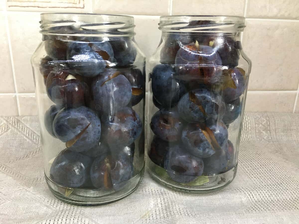 04579b95950e06fe1a156e461036308c