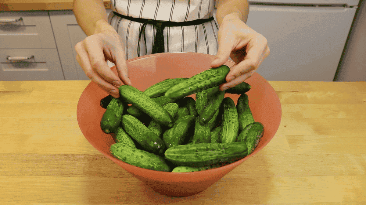 482ef0fe4cf66153e7e85db3162baba4