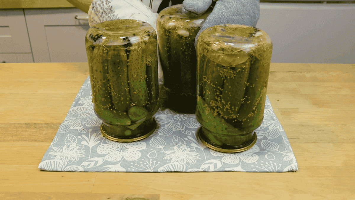 e6829376526f08cc7d0a3c38733381dd