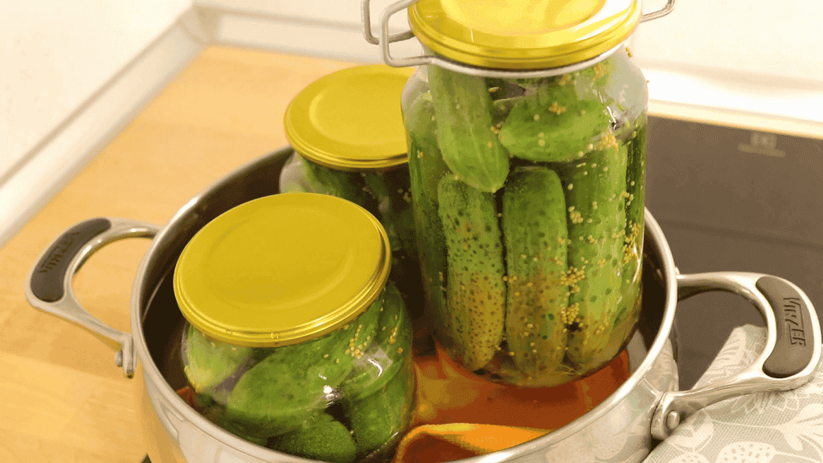 f6bb68f4027513c44d882a6c18b47f63