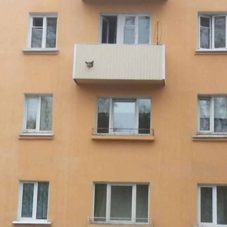 Веселий балкон